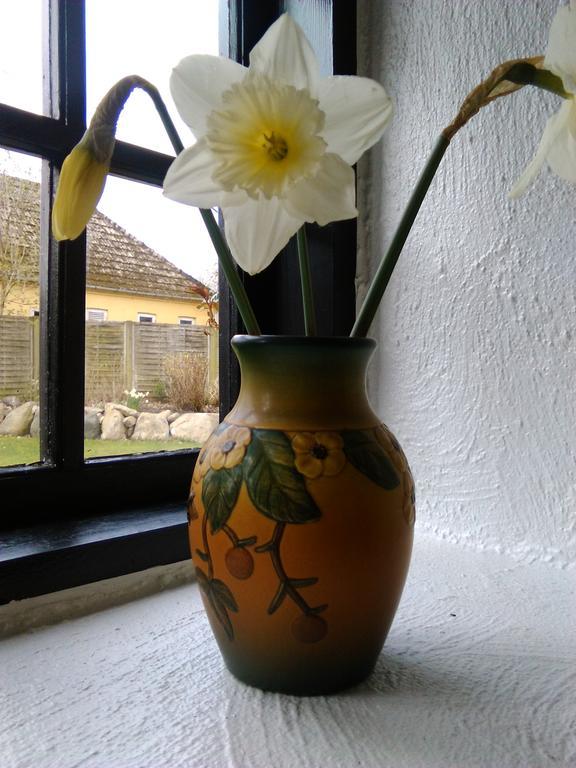 Dastrup Bed & Breakfast Viby Dış mekan fotoğraf