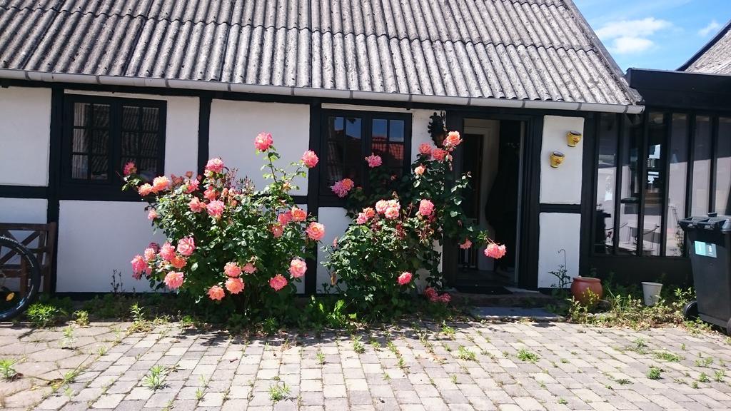 Dastrup Bed & Breakfast Viby Dış mekan fotoğraf
